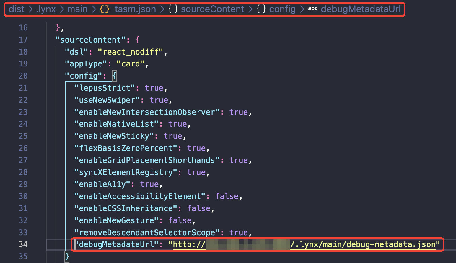 Debug metadata url