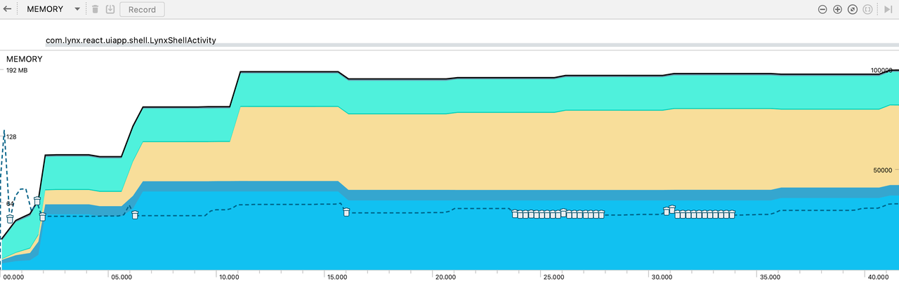 内存性能分析器