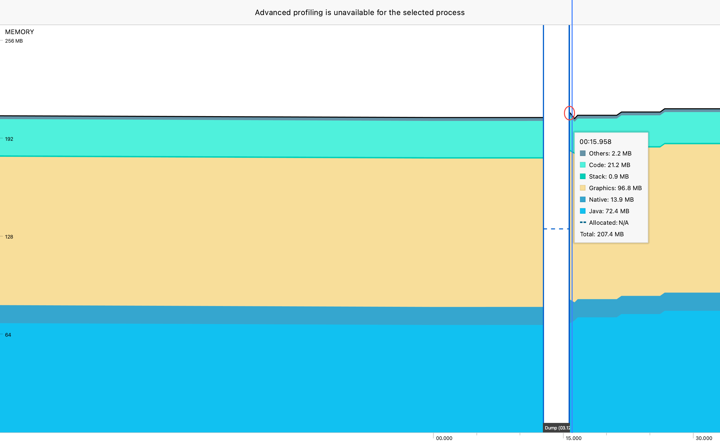 Profiler 工具内存状态